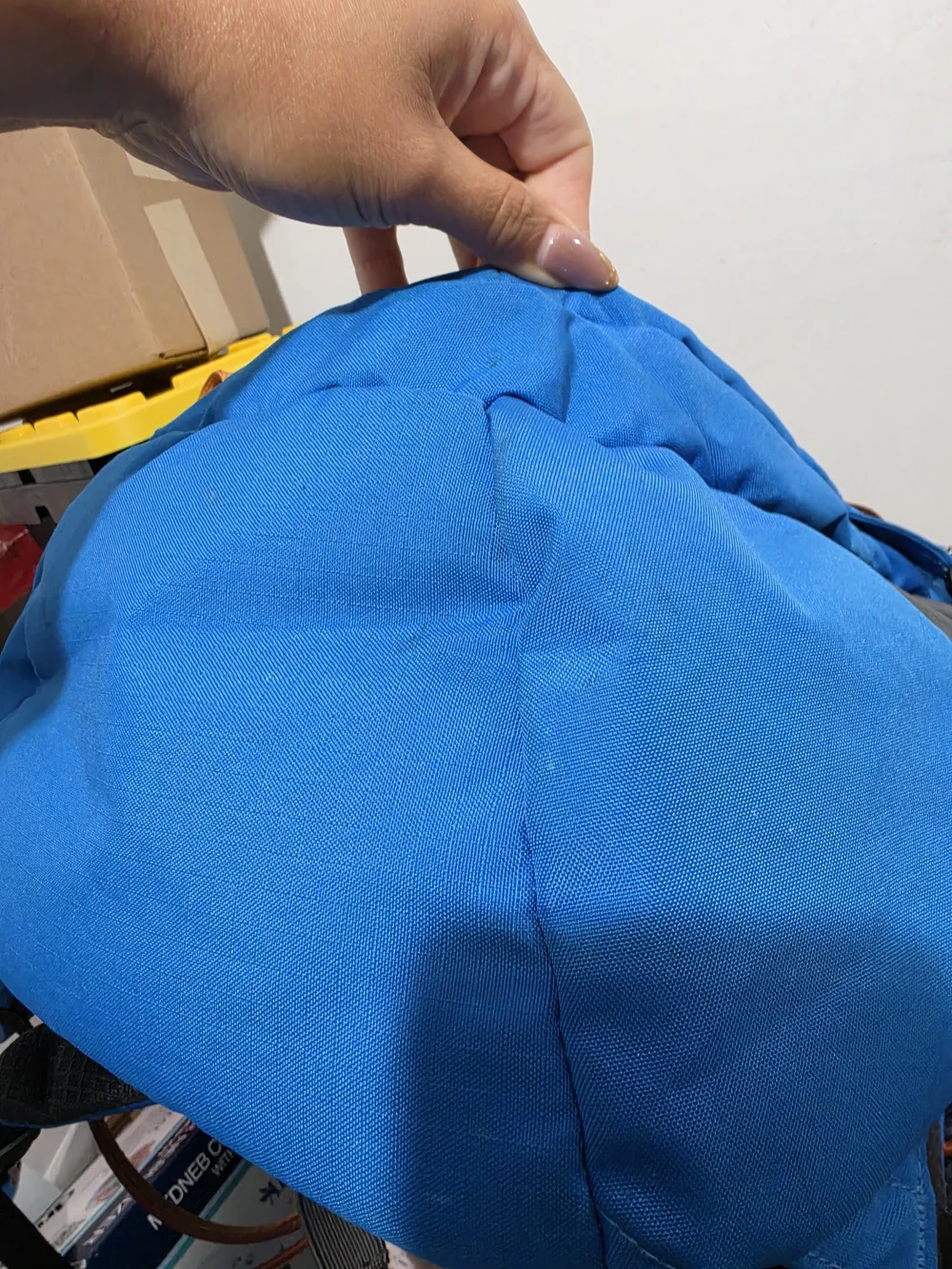 Patagonia Blue Men’s Backpack - Refugio 28L Training Peaks Branded